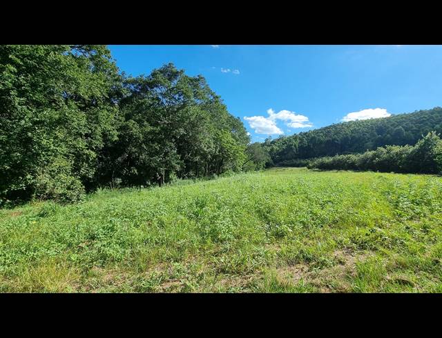 14.60HA SMALLHOLDING FOR SALE IN NELSPRUIT RURAL